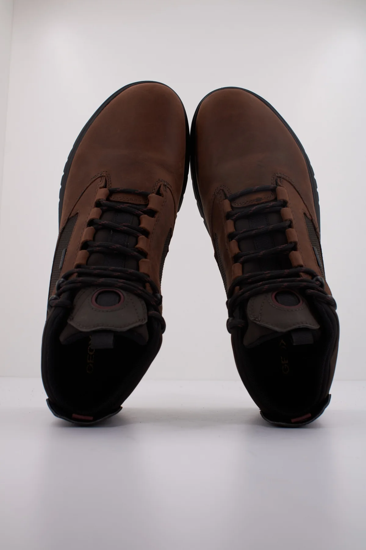 1000138646 - Image 3