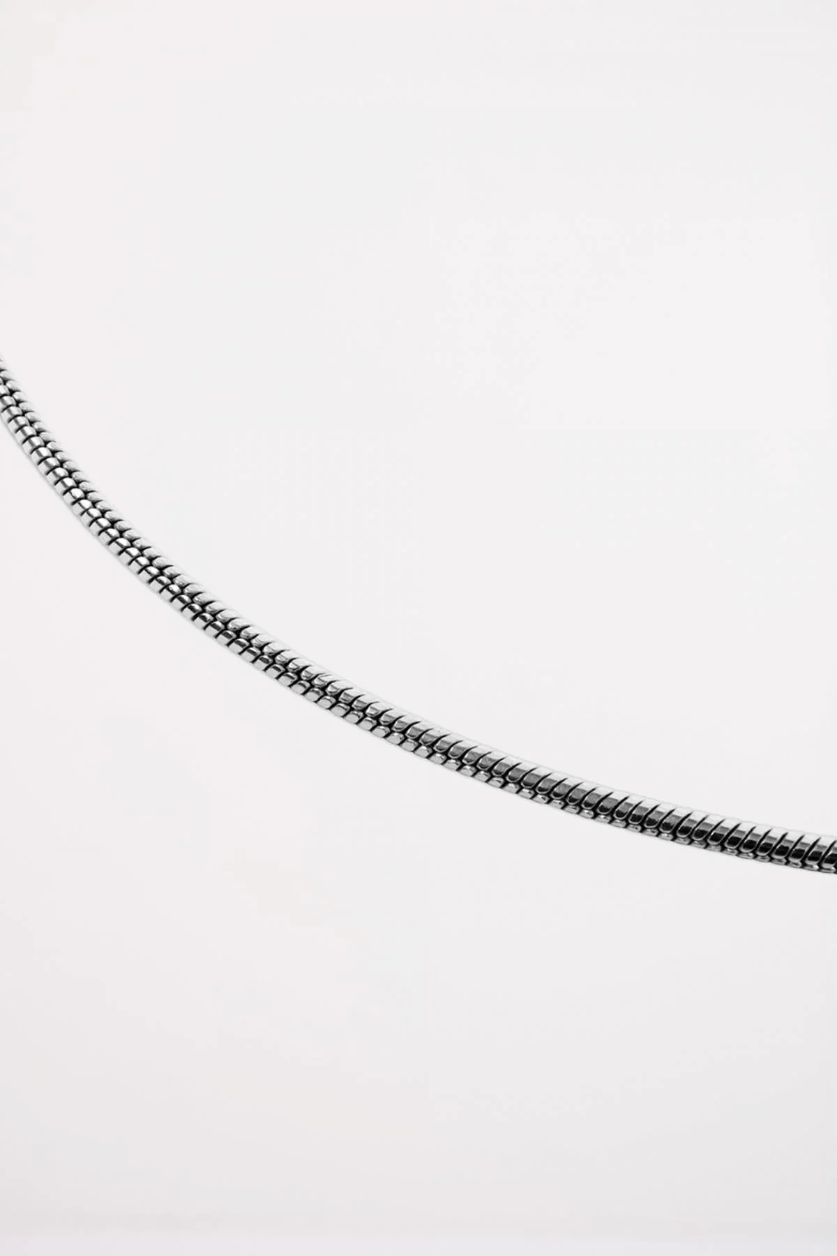 1000130244 - Image 4