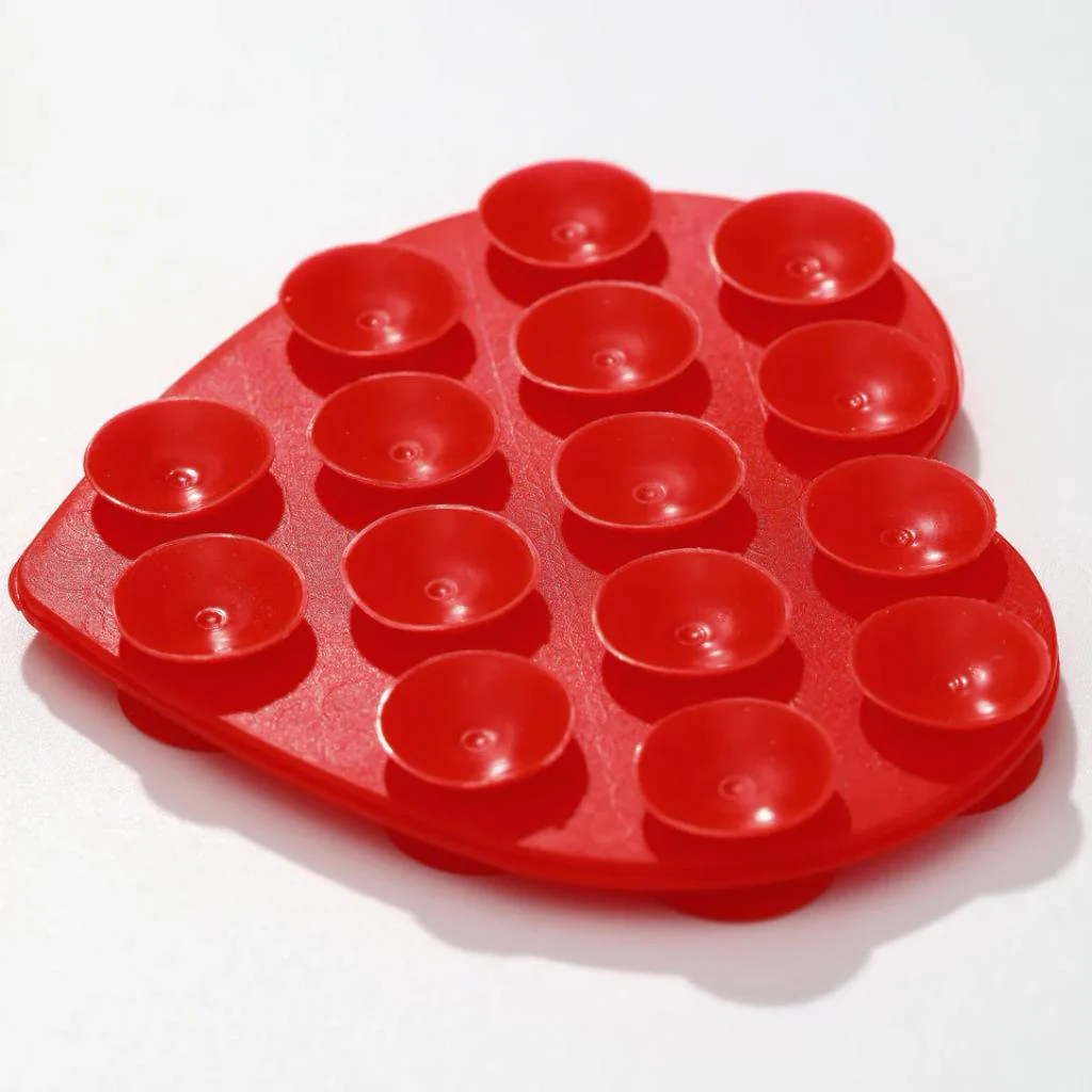 1000136131 - Image 6