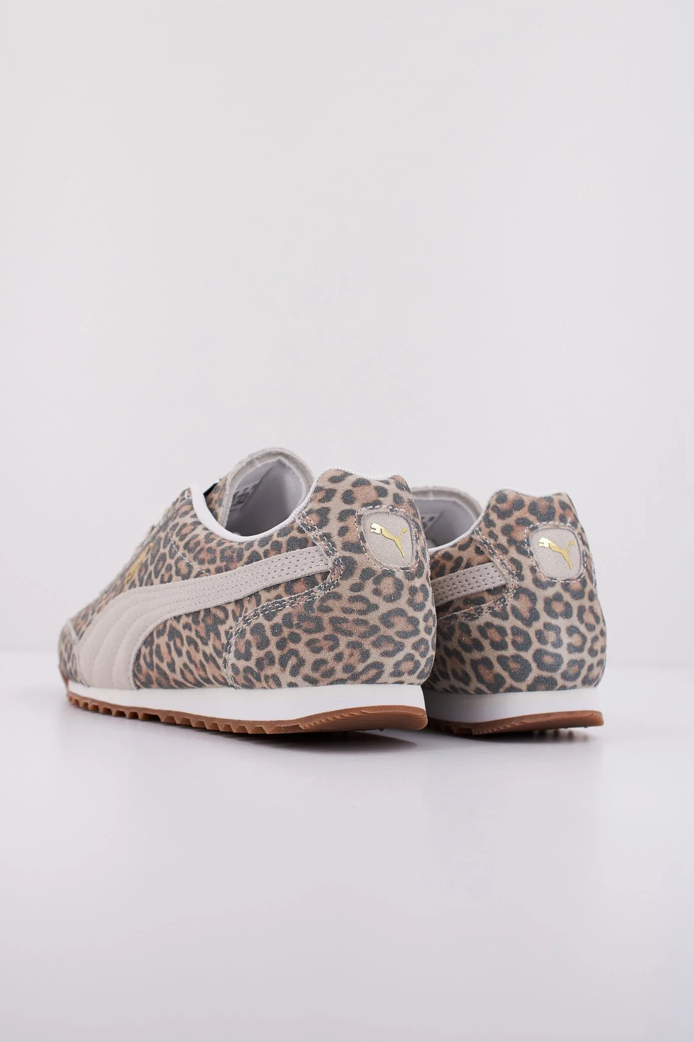 1000129213 - Image 4