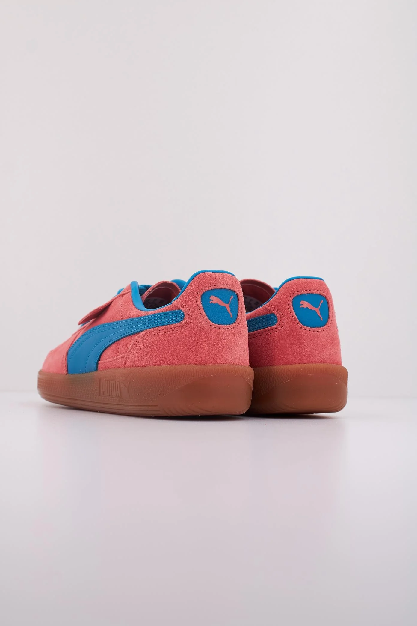 1000131301 - Image 4